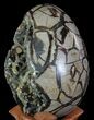 Huge, Septarian Dragon Egg Geode - Yellow Crystals #63134-3